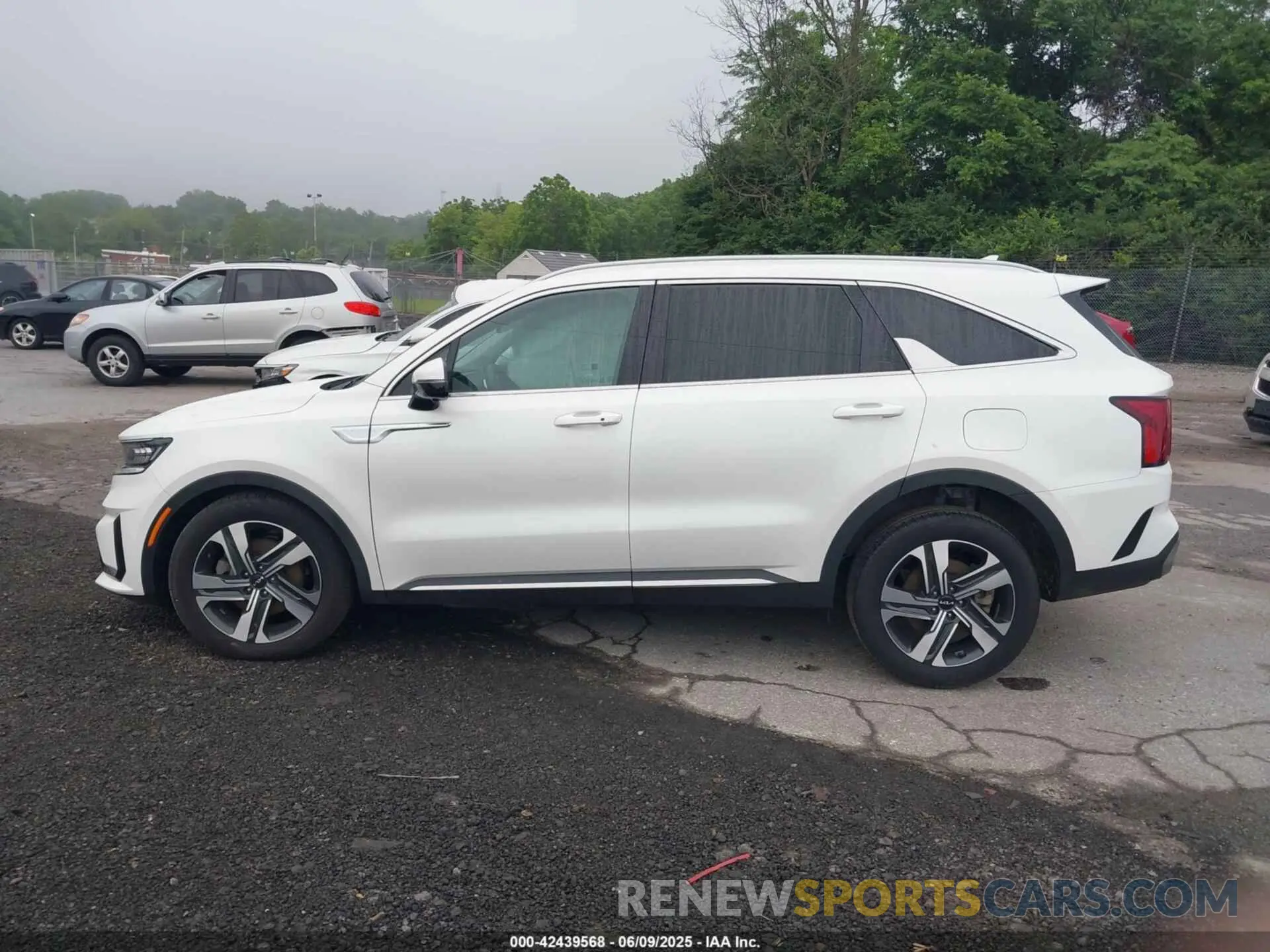 15 Photograph of a damaged car KNDRMDLH9R5235792 KIA SORENTO PLUG-IN HYBRID 2024
