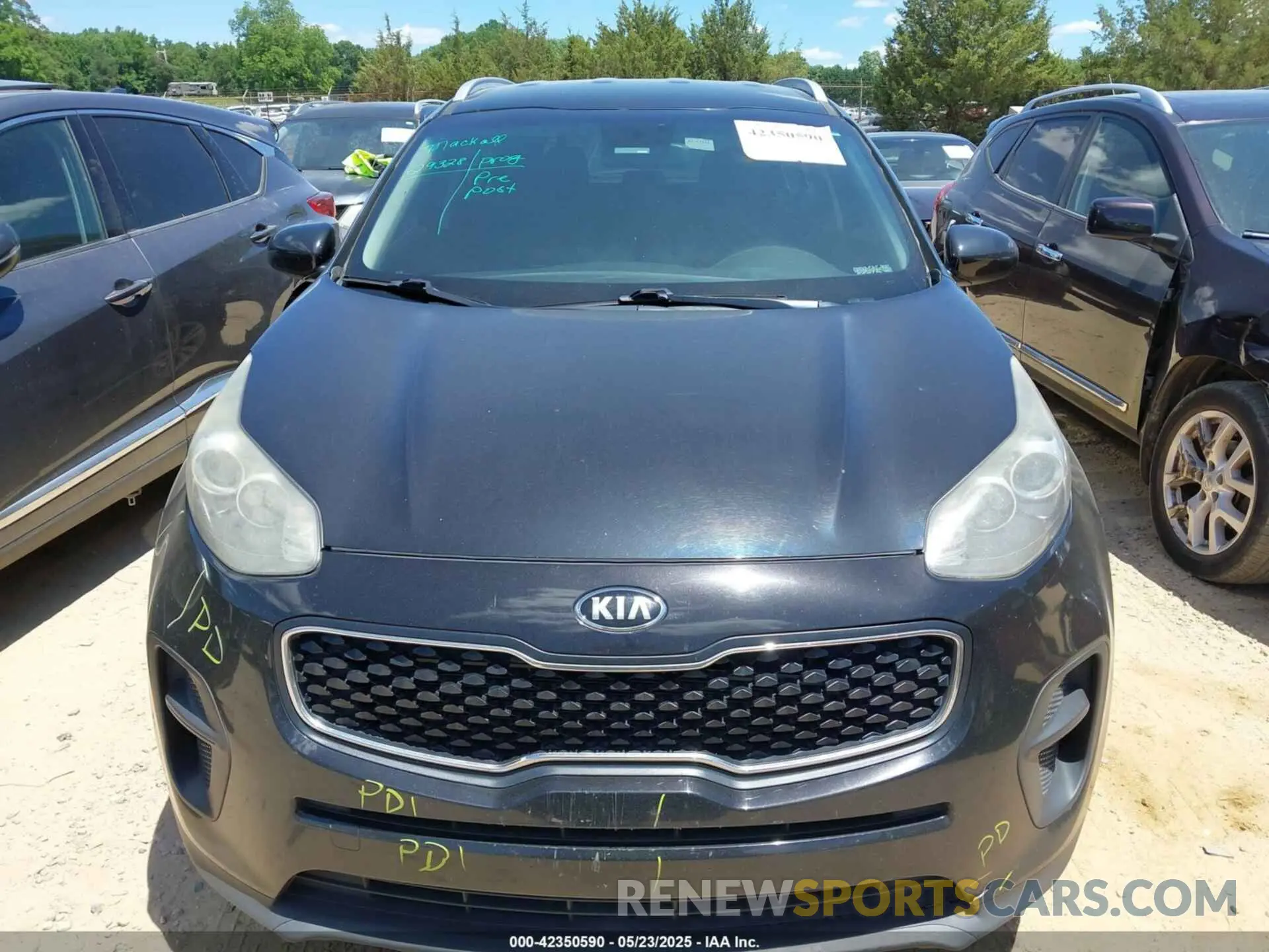 12 Photograph of a damaged car KNDPM3AC1K7526211 KIA SPORTAGE 2019