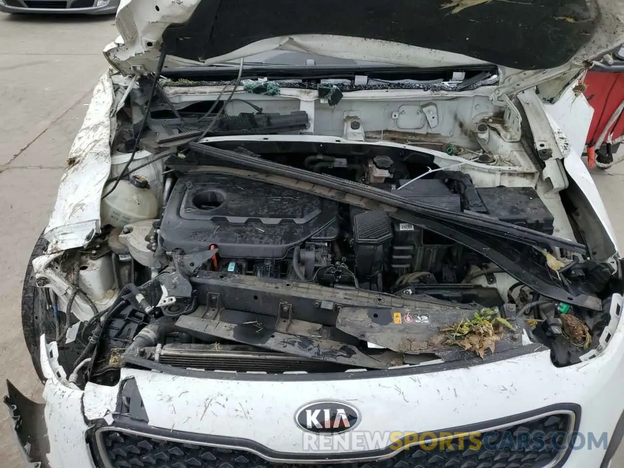 12 Photograph of a damaged car KNDPM3AC1K7623957 KIA SPORTAGE 2019