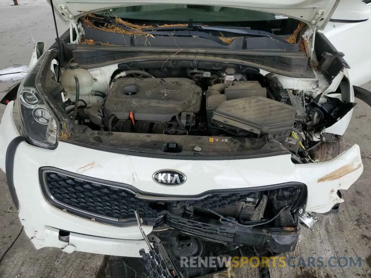 12 Photograph of a damaged car KNDPM3AC3K7540532 KIA SPORTAGE 2019