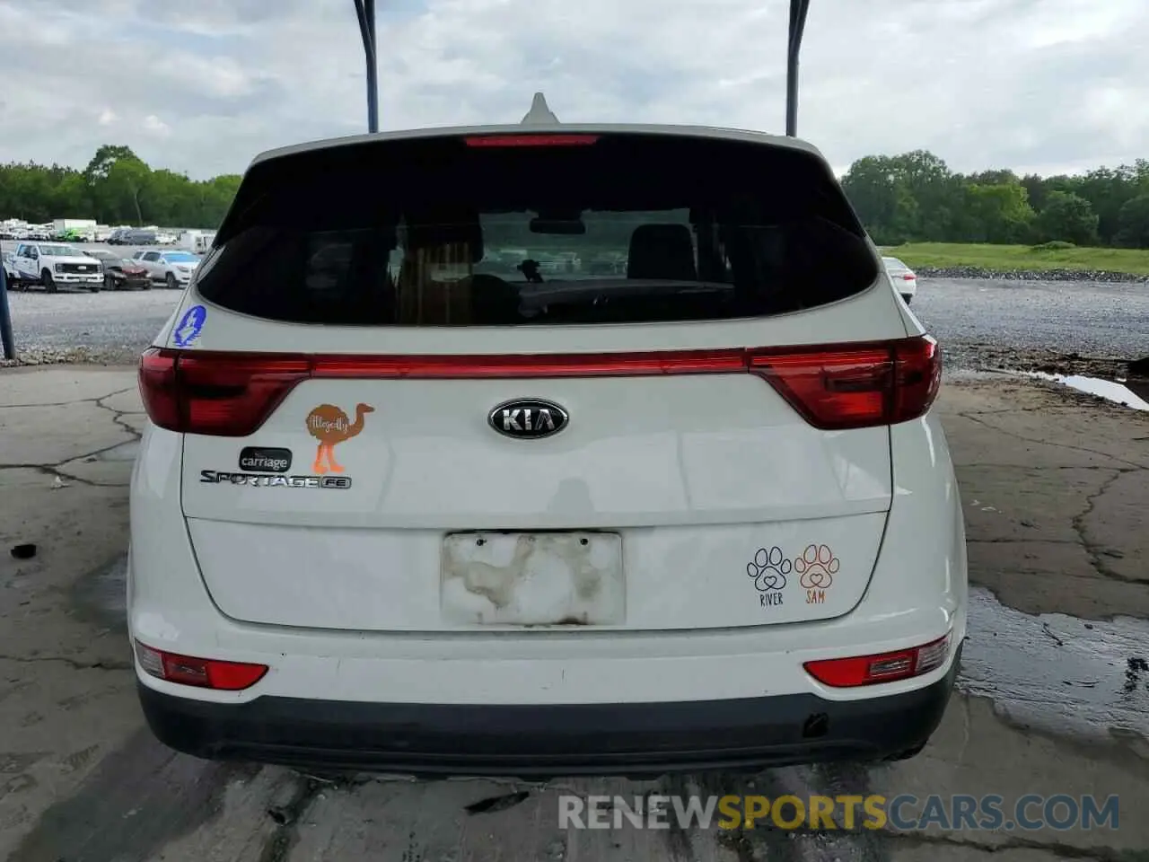 6 Photograph of a damaged car KNDPM3AC3K7540532 KIA SPORTAGE 2019