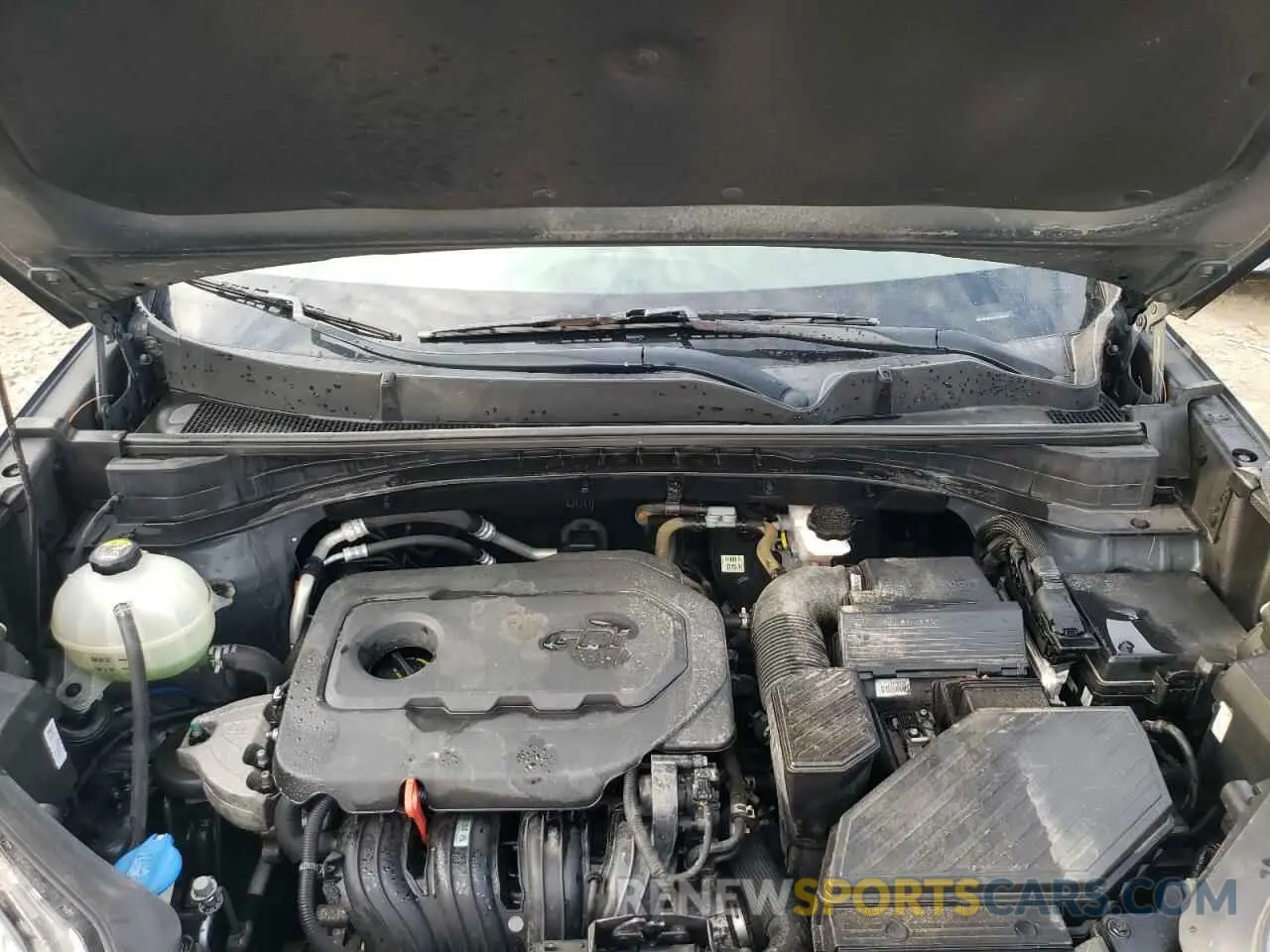 12 Photograph of a damaged car KNDPM3AC4K7576326 KIA SPORTAGE 2019