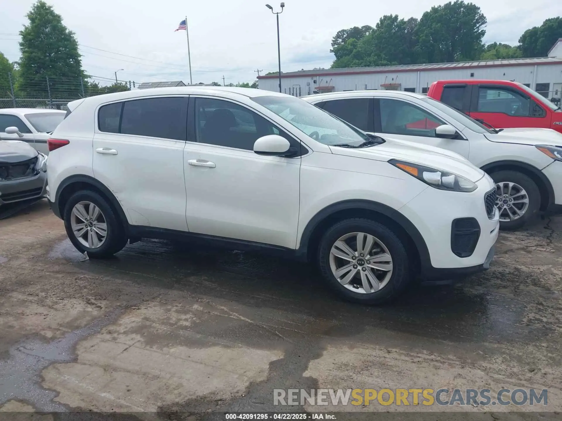 13 Photograph of a damaged car KNDPM3AC6K7617295 KIA SPORTAGE 2019