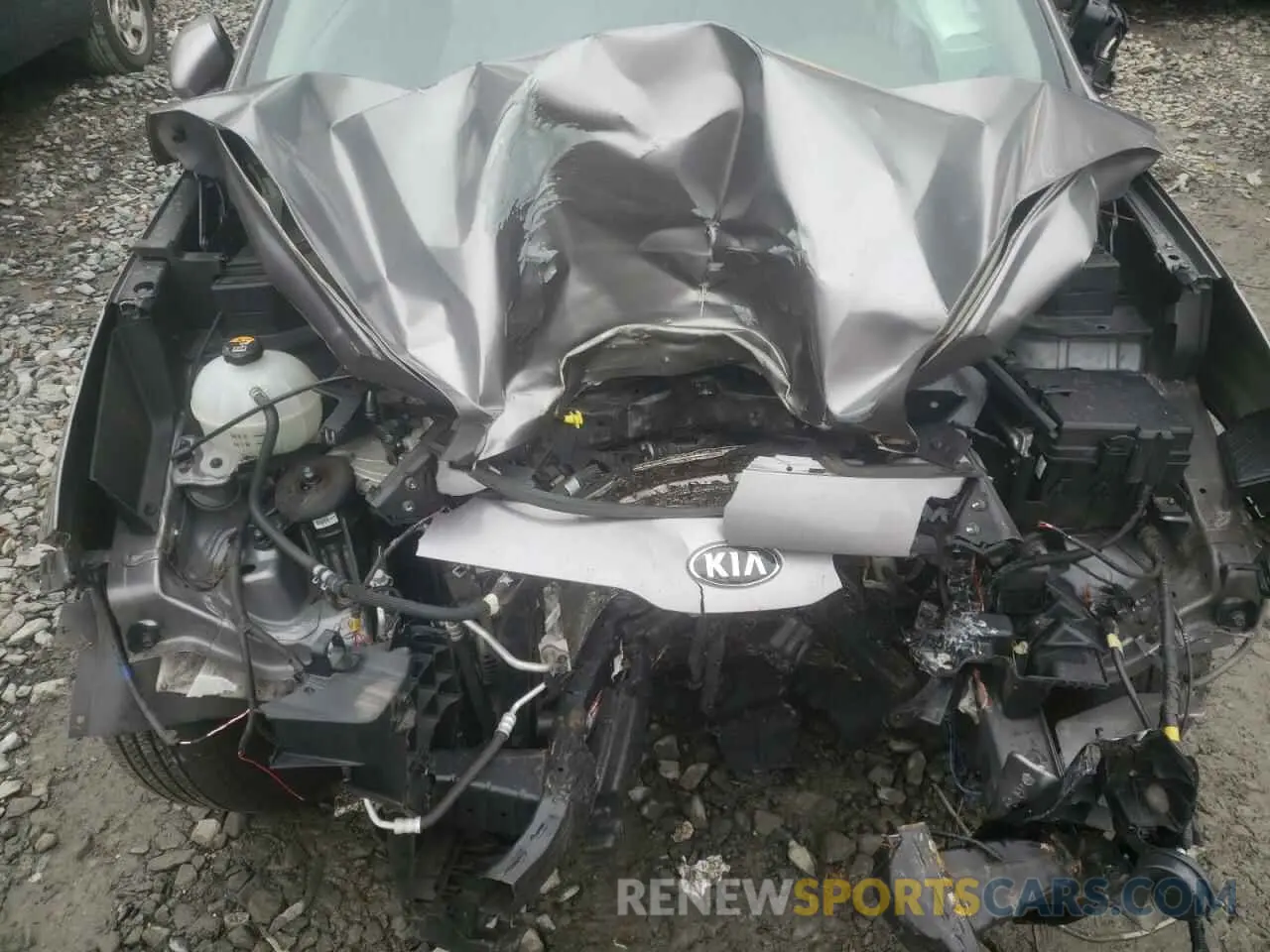 12 Photograph of a damaged car KNDPM3AC8K7500009 KIA SPORTAGE 2019