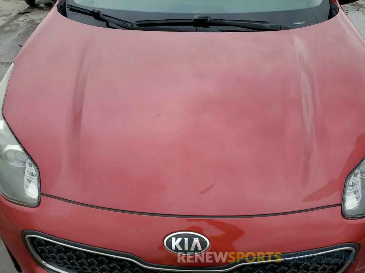 12 Photograph of a damaged car KNDPM3AC8K7596529 KIA SPORTAGE 2019