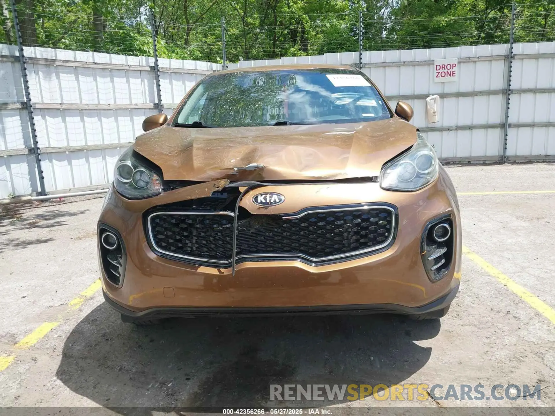 12 Photograph of a damaged car KNDPMCAC1K7615602 KIA SPORTAGE 2019