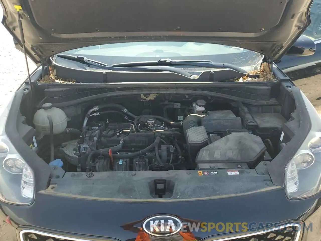 12 Photograph of a damaged car KNDPMCAC6K7574545 KIA SPORTAGE 2019