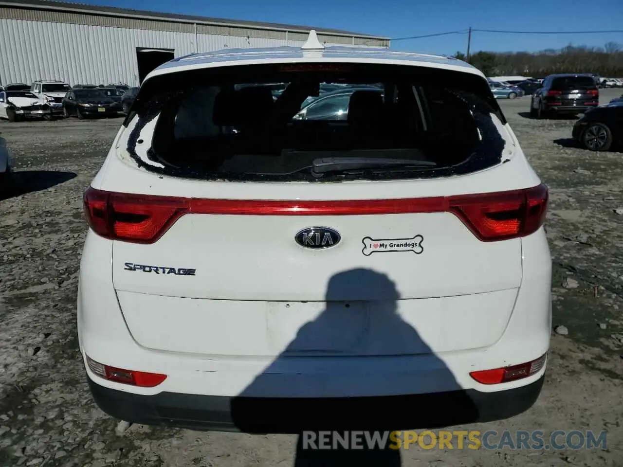 6 Photograph of a damaged car KNDPMCAC8K7551008 KIA SPORTAGE 2019