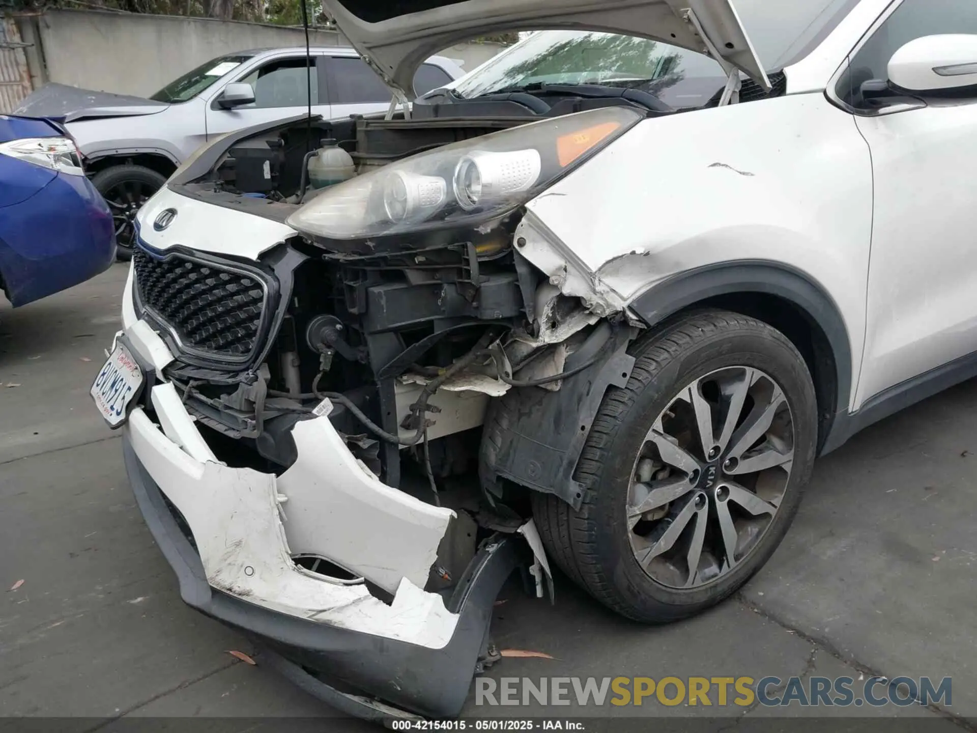 6 Photograph of a damaged car KNDPN3AC2K7522598 KIA SPORTAGE 2019