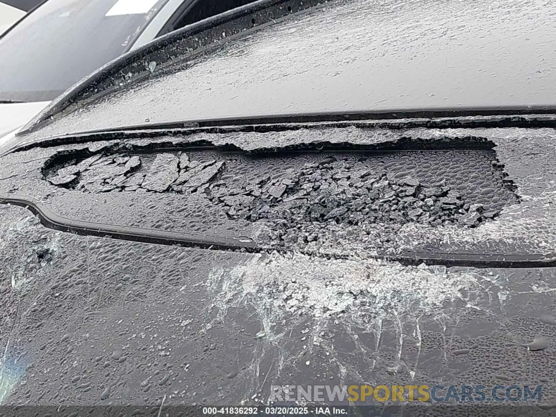 20 Photograph of a damaged car KNDPNCAC0K7534426 KIA SPORTAGE 2019
