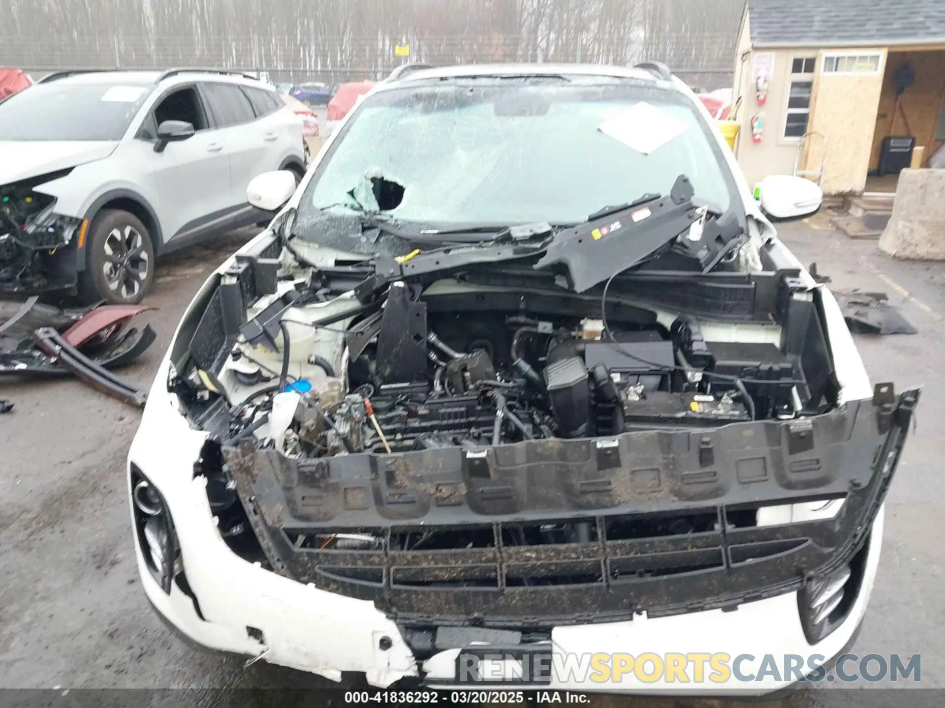 6 Photograph of a damaged car KNDPNCAC0K7534426 KIA SPORTAGE 2019
