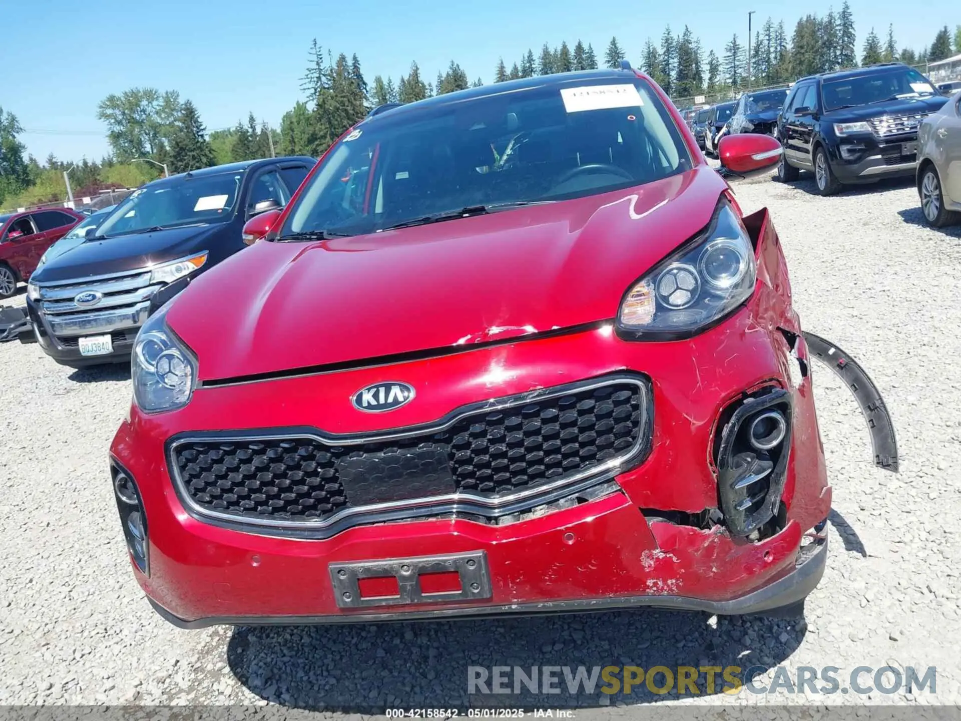 12 Photograph of a damaged car KNDPNCAC1K7544253 KIA SPORTAGE 2019