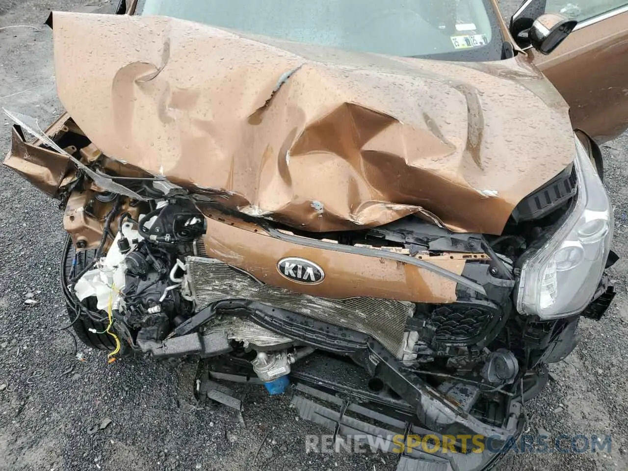 14 Photograph of a damaged car KNDPNCAC3K7500948 KIA SPORTAGE 2019