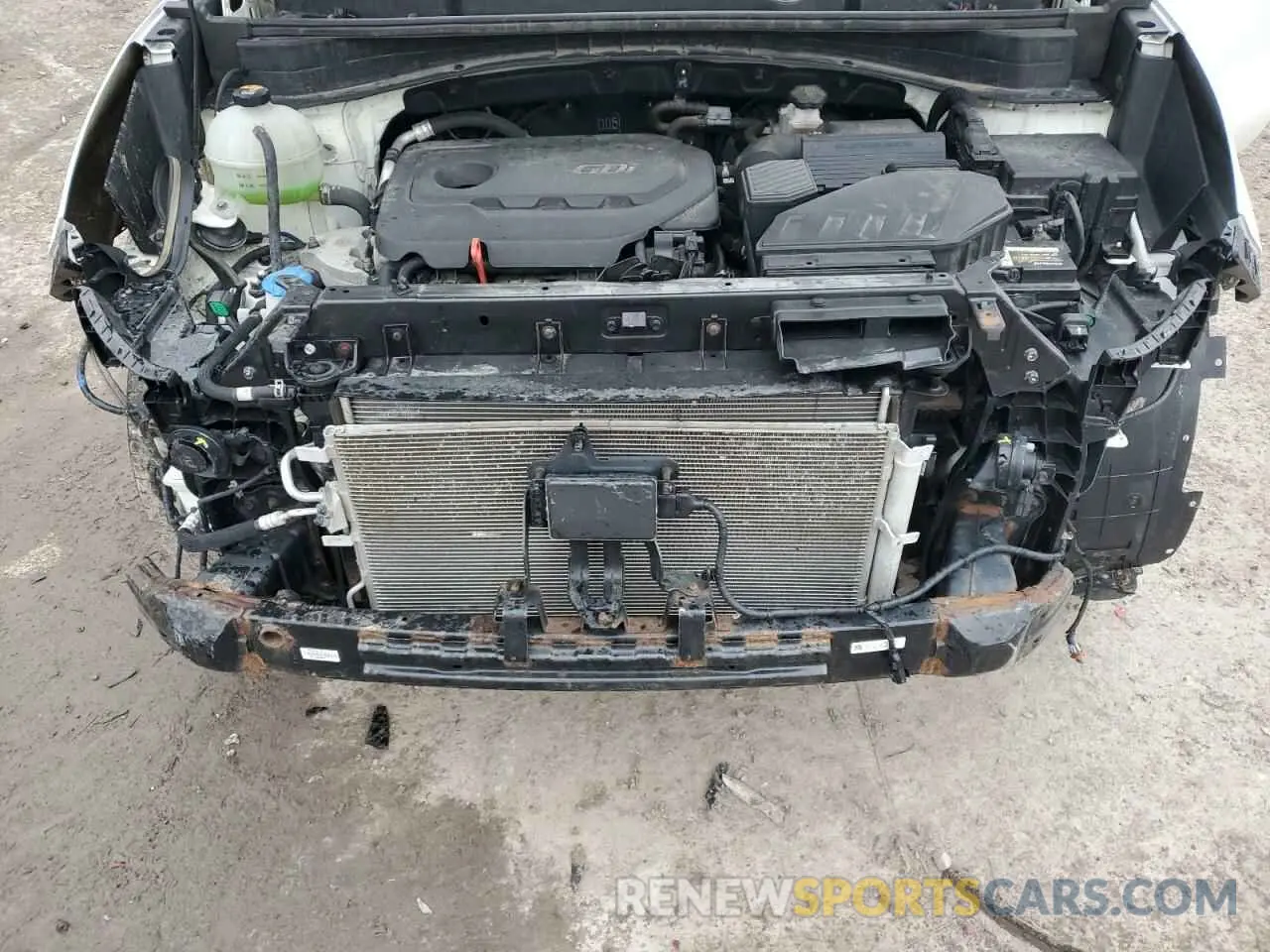12 Photograph of a damaged car KNDPNCAC3K7571213 KIA SPORTAGE 2019