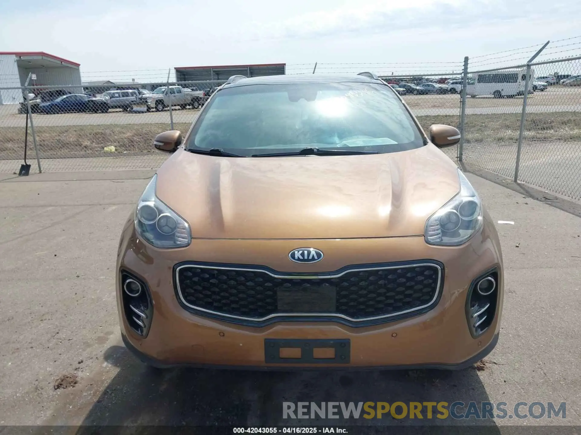 12 Photograph of a damaged car KNDPNCAC5K7590541 KIA SPORTAGE 2019