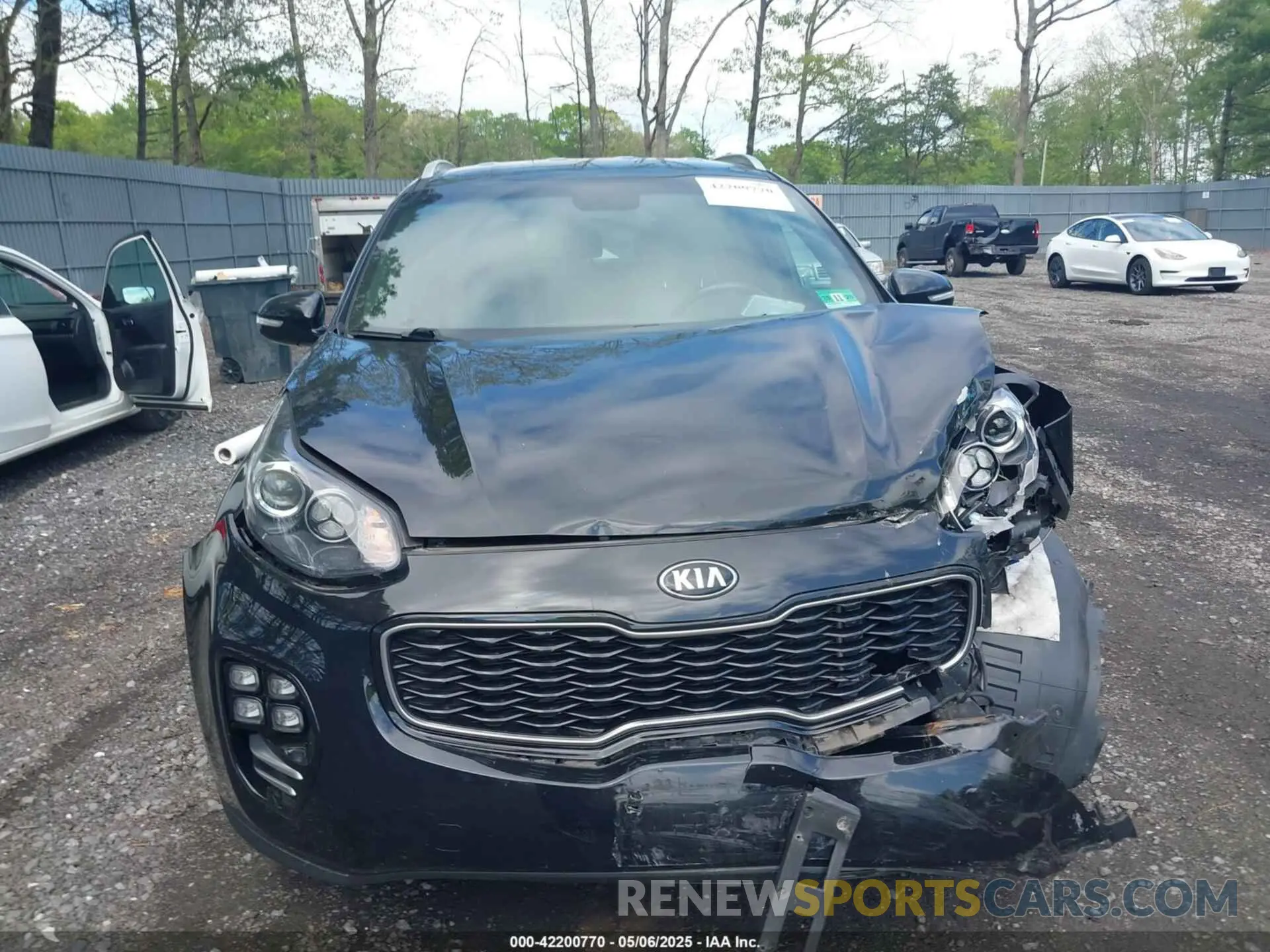 12 Photograph of a damaged car KNDPNCAC9K7528981 KIA SPORTAGE 2019