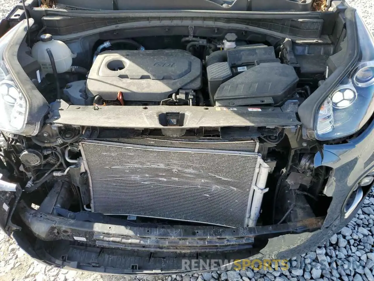 12 Photograph of a damaged car KNDPNCAC9K7533792 KIA SPORTAGE 2019