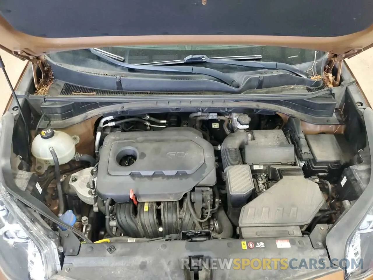 12 Photograph of a damaged car KNDPNCAC9K7611505 KIA SPORTAGE 2019