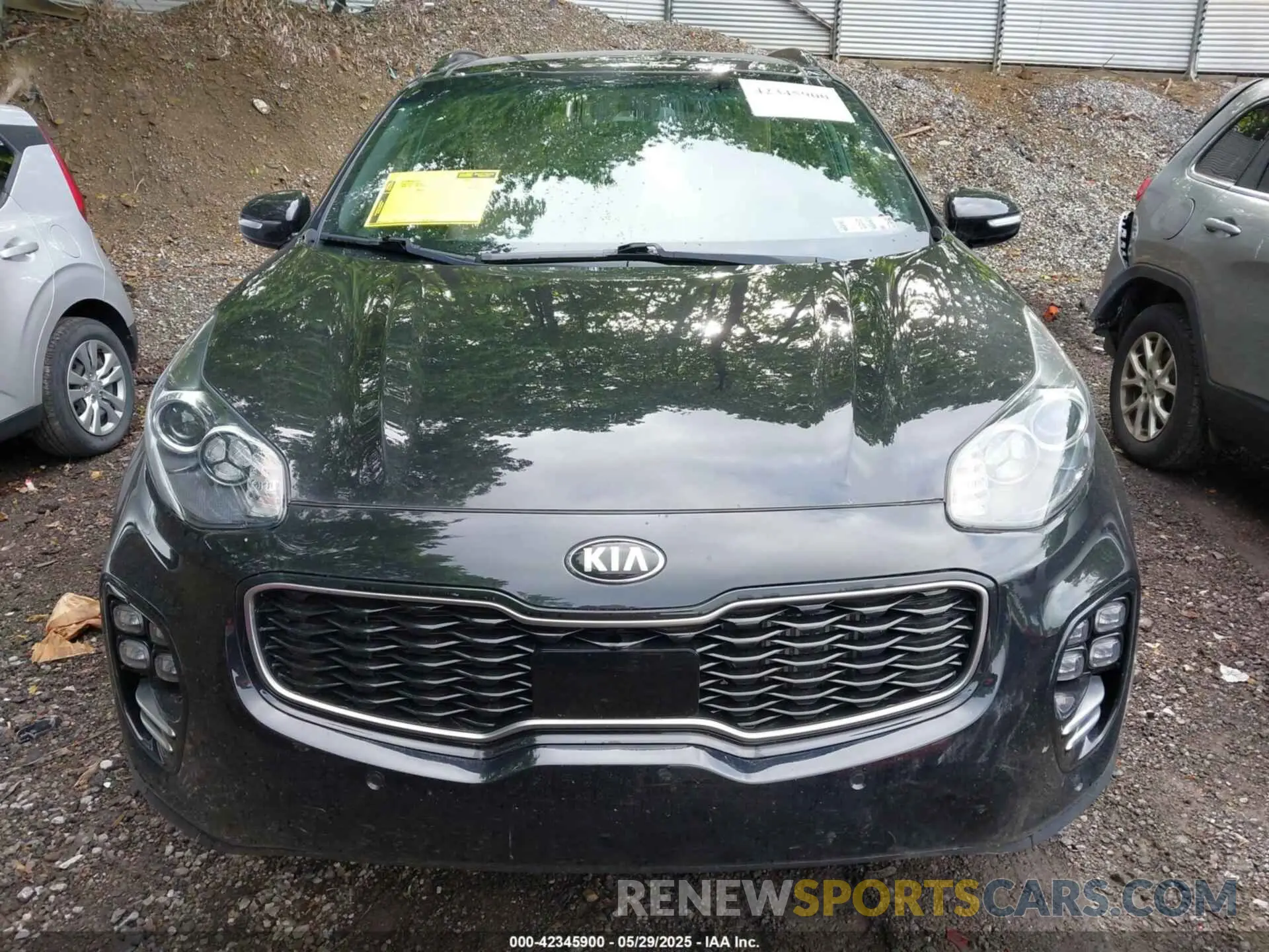 12 Photograph of a damaged car KNDPRCA62K7616978 KIA SPORTAGE 2019