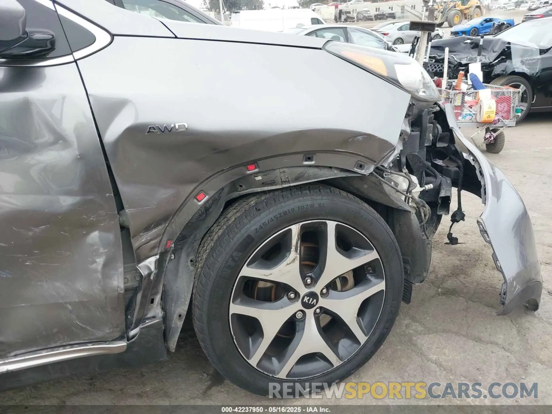 6 Photograph of a damaged car KNDPRCA69K7540272 KIA SPORTAGE 2019