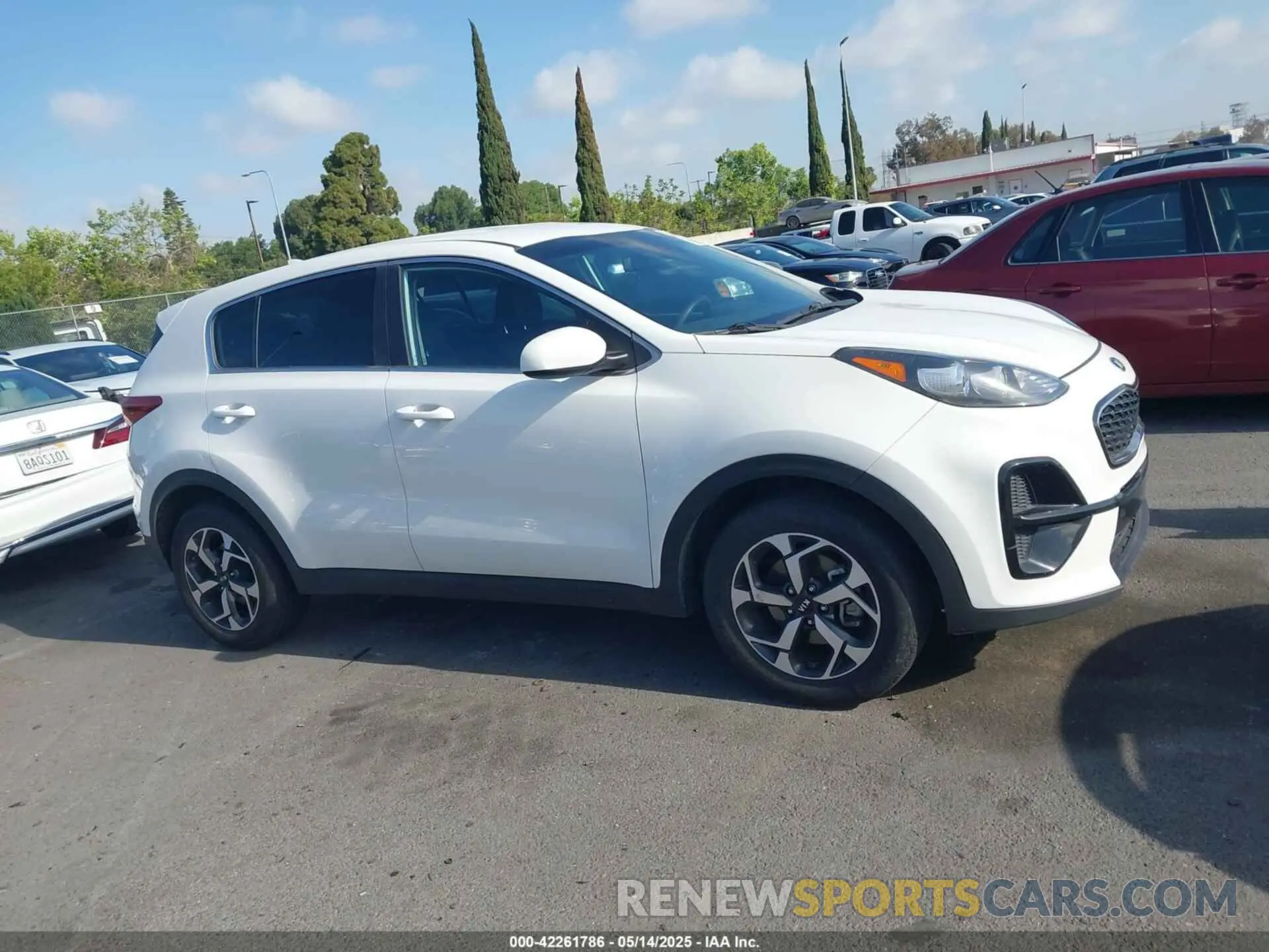 13 Photograph of a damaged car KNDPM3AC4L7708065 KIA SPORTAGE 2020