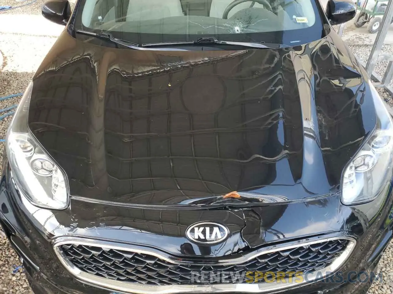 12 Photograph of a damaged car KNDPM3AC7L7716063 KIA SPORTAGE 2020