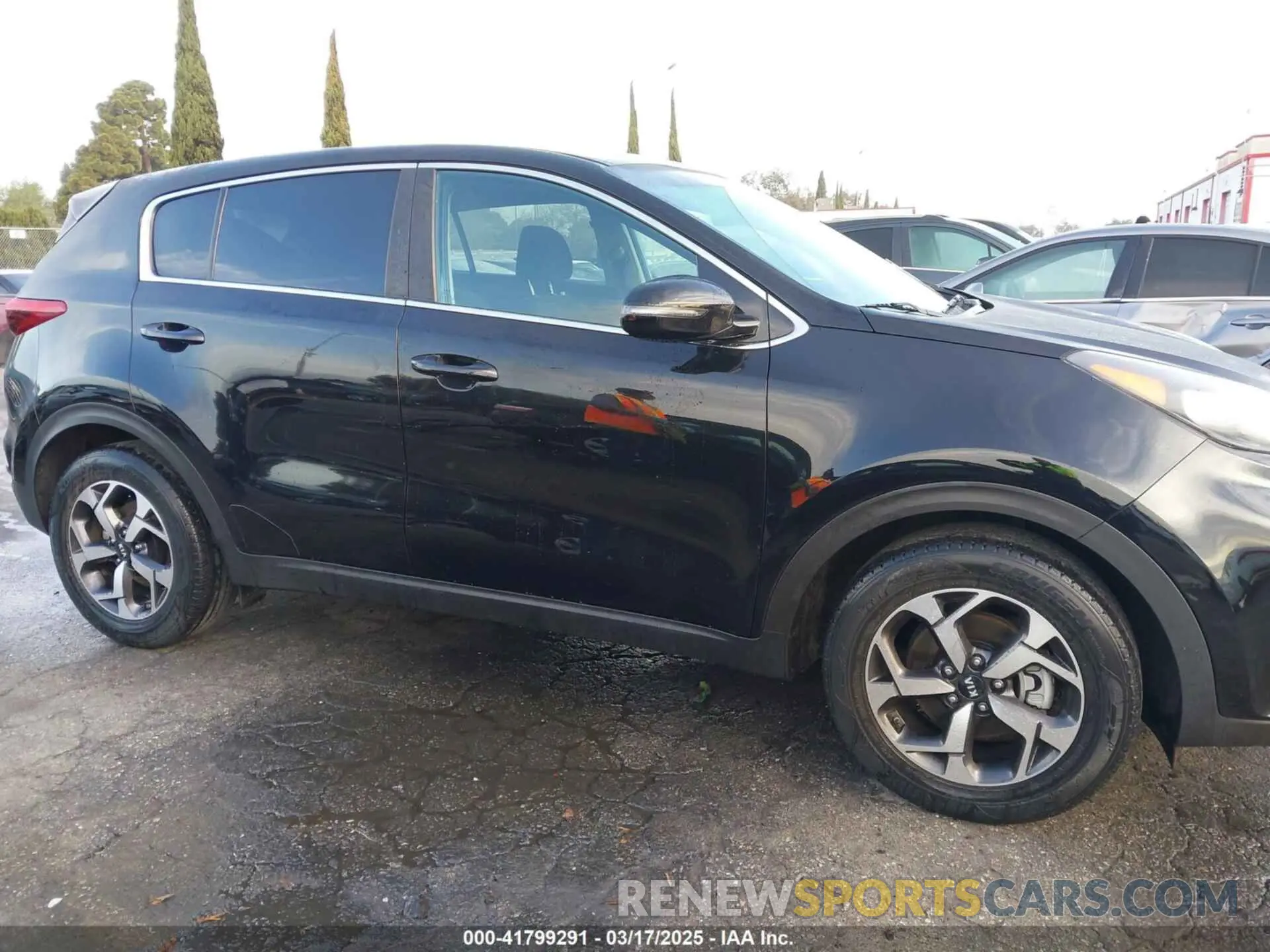 12 Photograph of a damaged car KNDPM3AC8L7739612 KIA SPORTAGE 2020