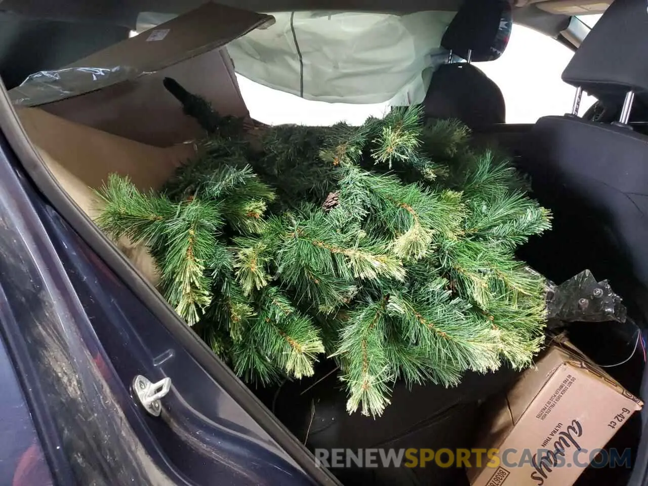 11 Photograph of a damaged car KNDPMCAC3L7788359 KIA SPORTAGE 2020