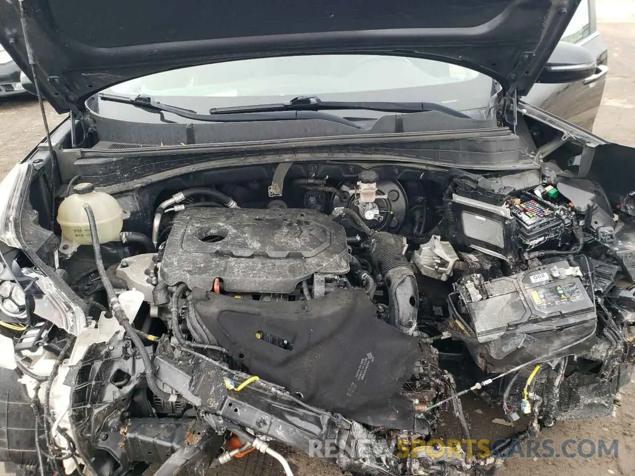12 Photograph of a damaged car KNDPNCAC1L7779818 KIA SPORTAGE 2020