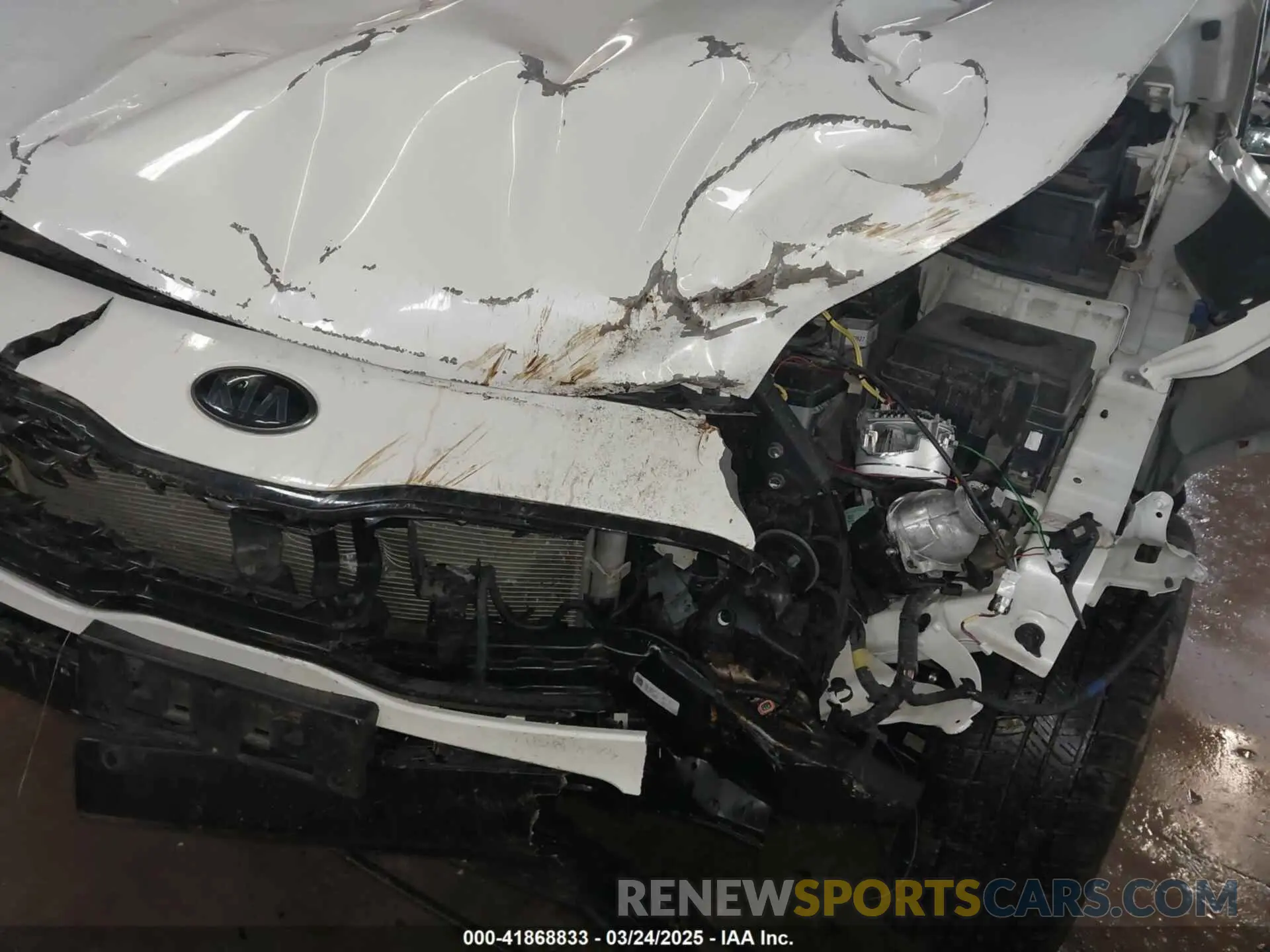 6 Photograph of a damaged car KNDP6CAC7M7888685 KIA SPORTAGE 2021