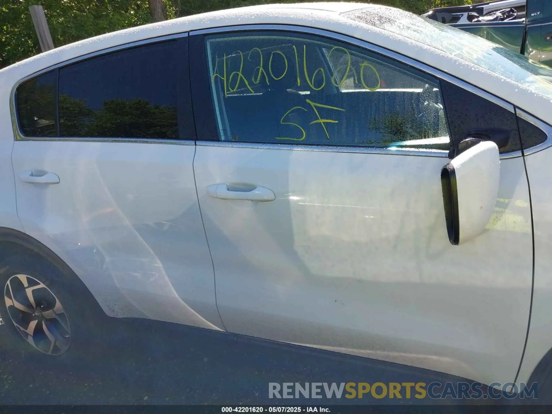 12 Photograph of a damaged car KNDPM3AC3M7845709 KIA SPORTAGE 2021