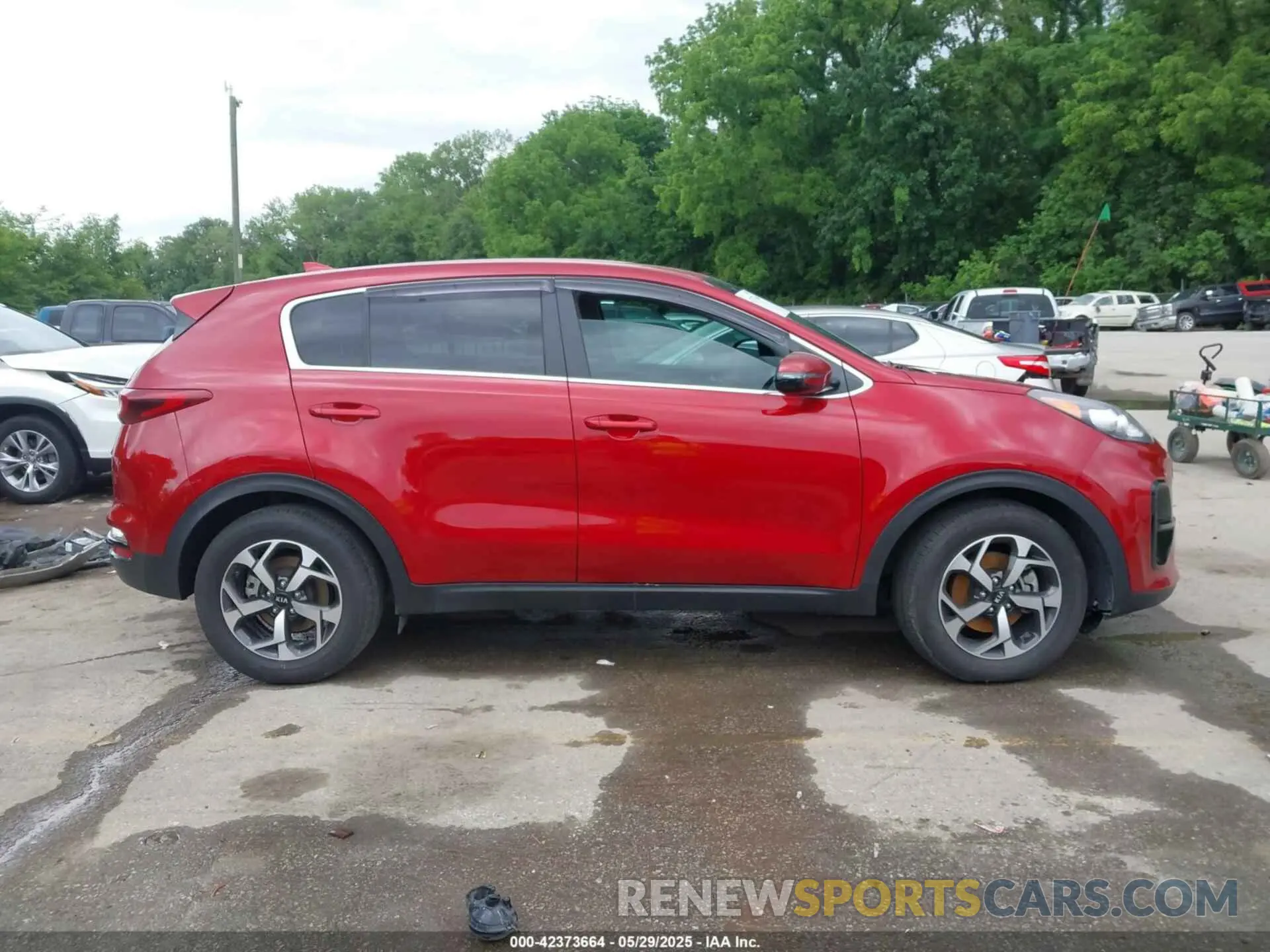 12 Photograph of a damaged car KNDPM3AC5M7901696 KIA SPORTAGE 2021