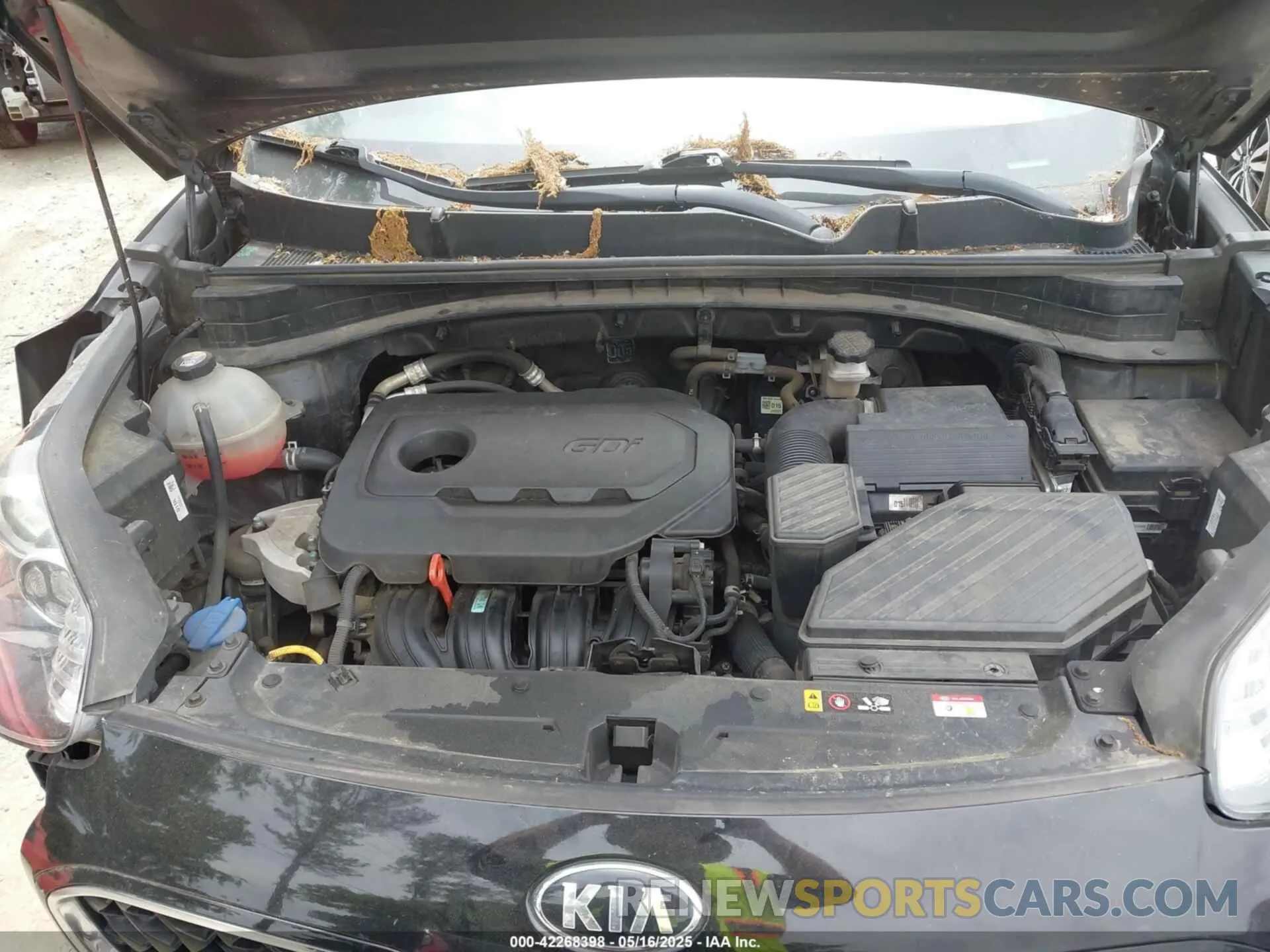 10 Photograph of a damaged car KNDPM3AC5M7930664 KIA SPORTAGE 2021