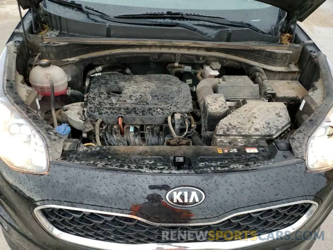 12 Photograph of a damaged car KNDPM3AC9M7941912 KIA SPORTAGE 2021