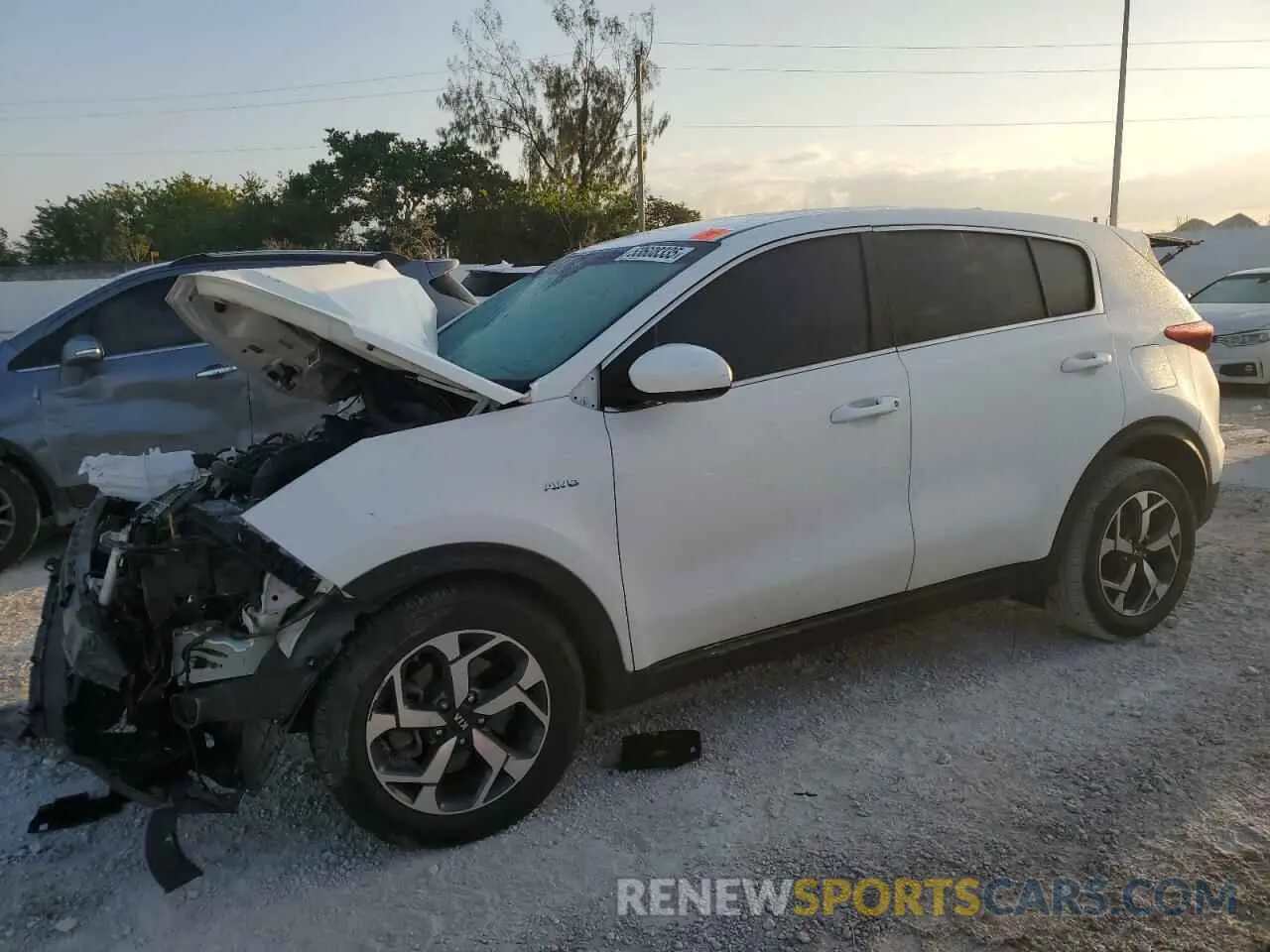1 Photograph of a damaged car KNDPMCAC0M7897914 KIA SPORTAGE 2021