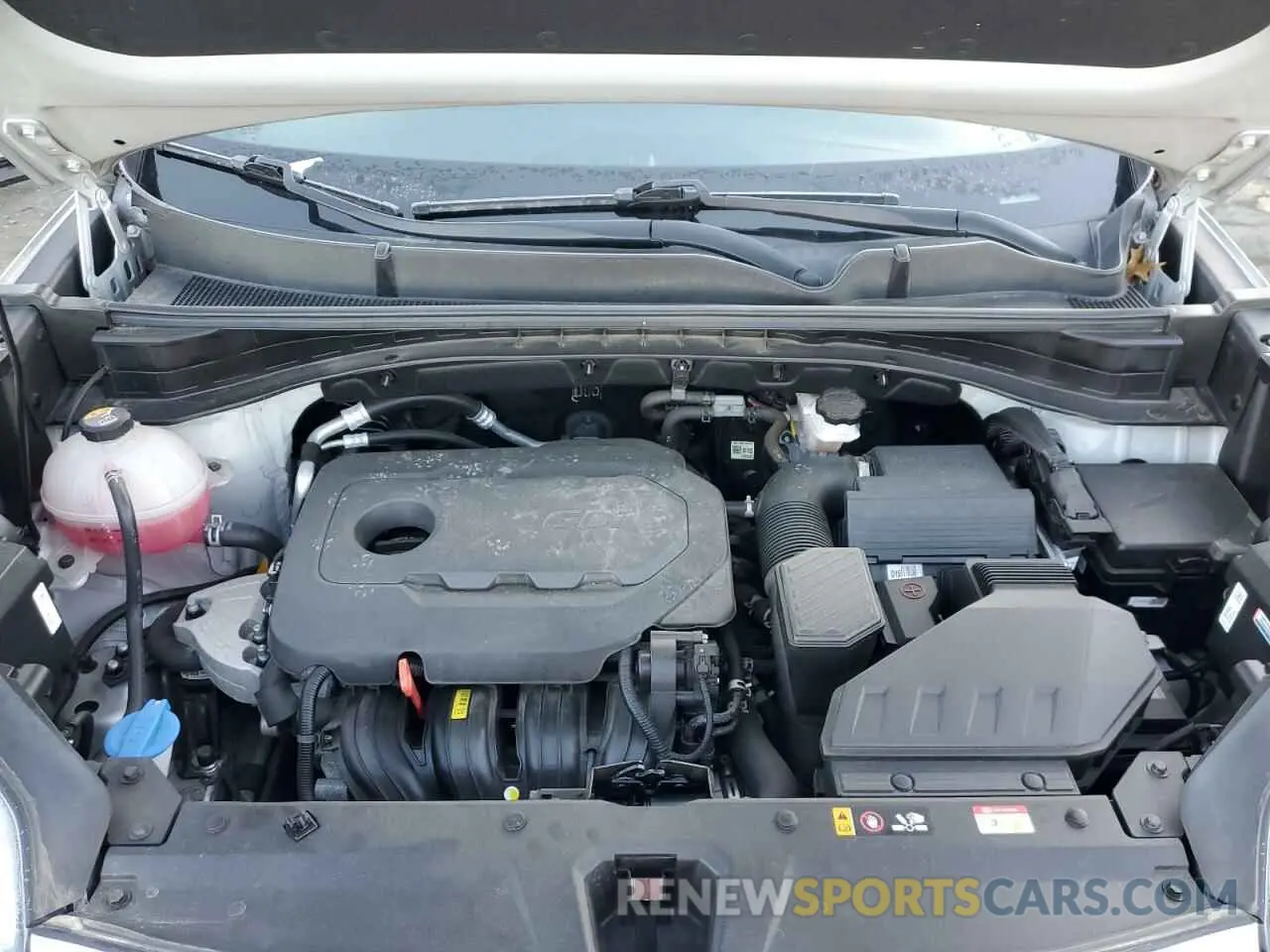 12 Photograph of a damaged car KNDPMCAC7M7901215 KIA SPORTAGE 2021