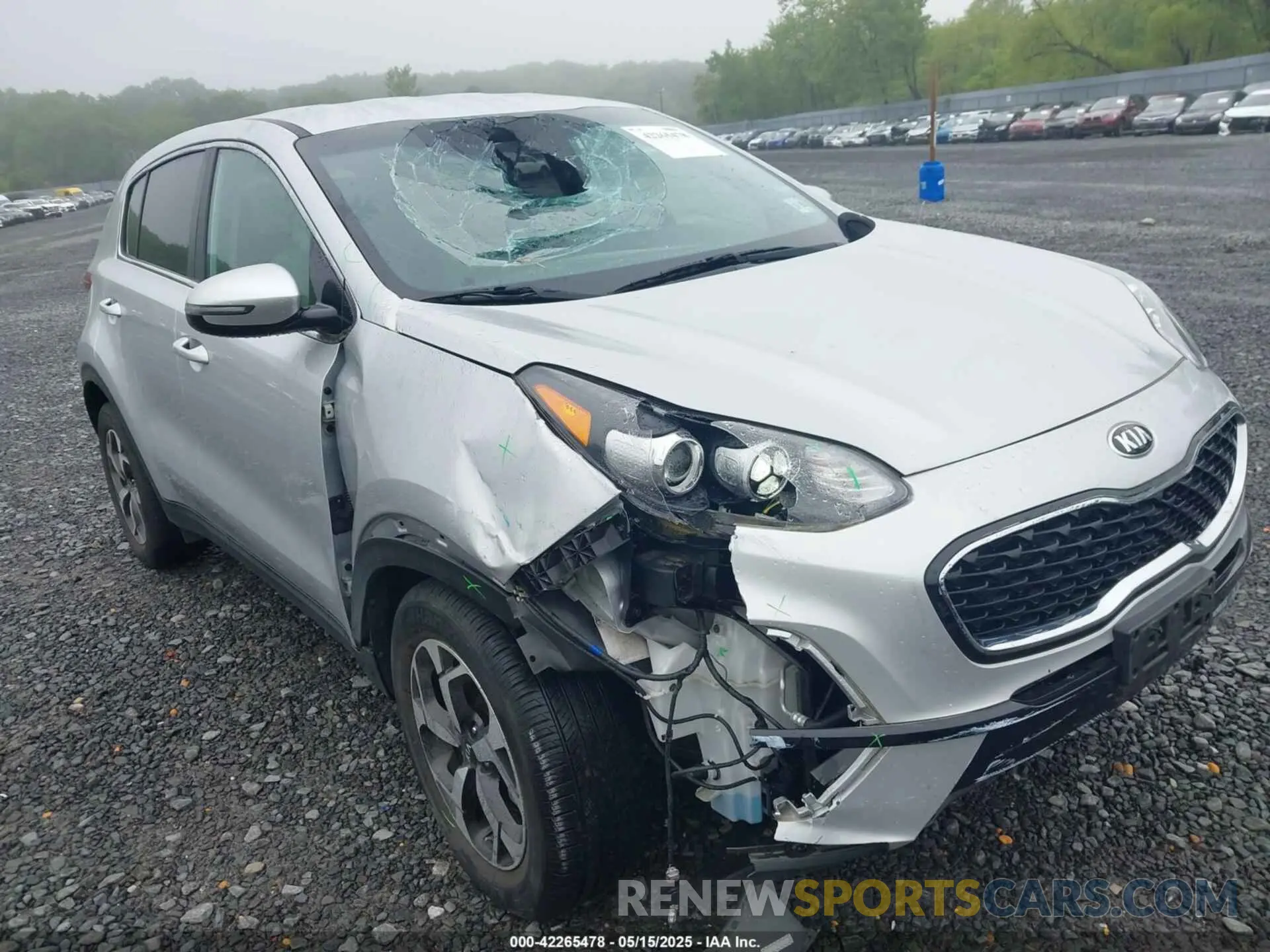 6 Photograph of a damaged car KNDPMCAC8M7915382 KIA SPORTAGE 2021