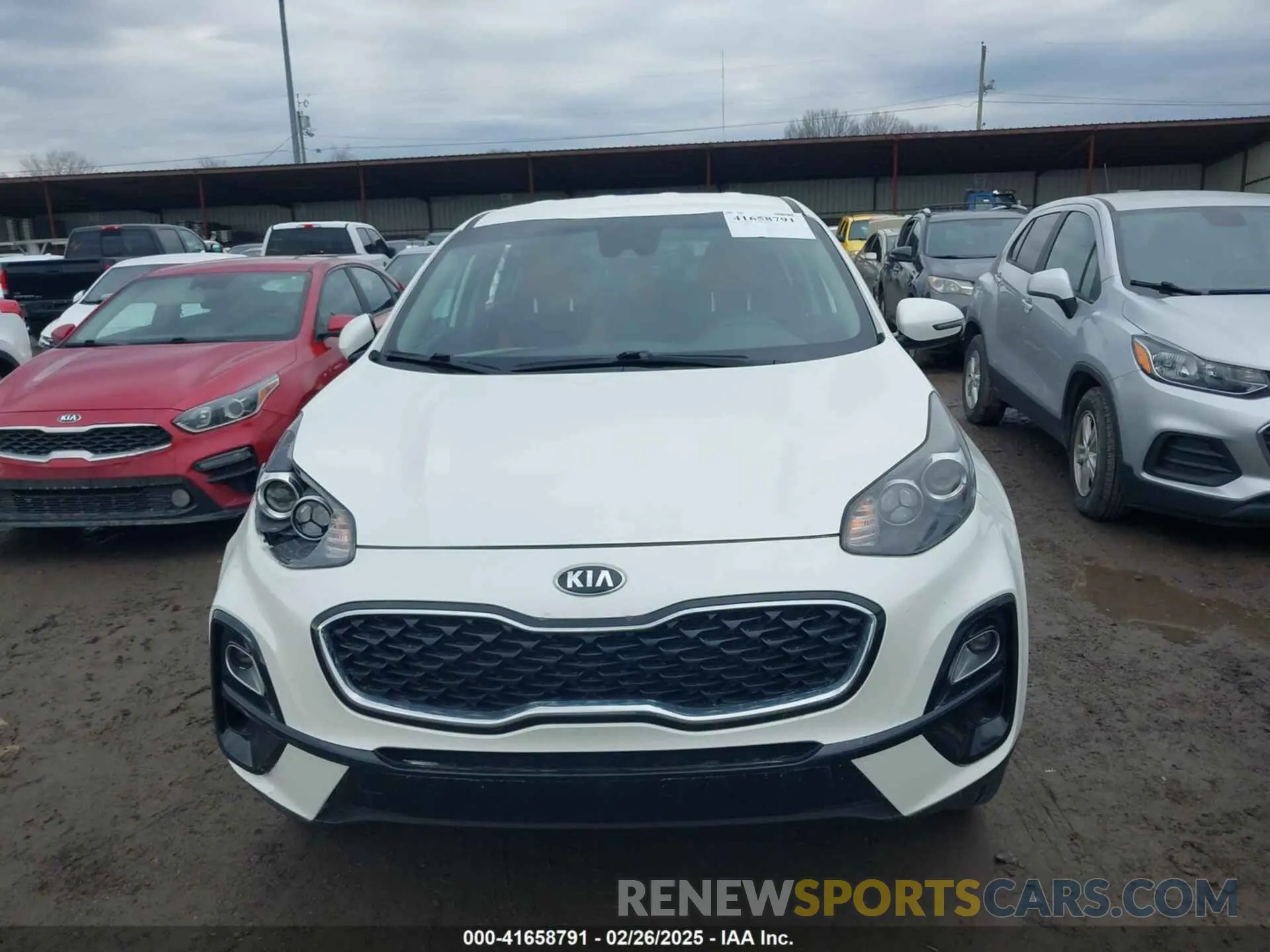 11 Photograph of a damaged car KNDPMCAC9M7919828 KIA SPORTAGE 2021