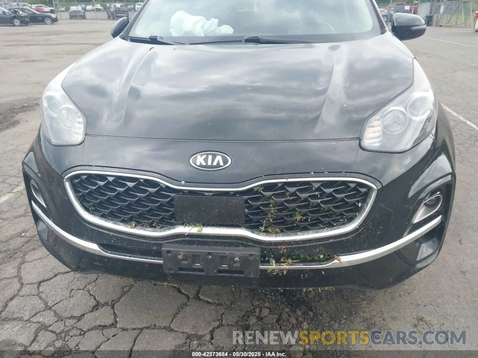 6 Photograph of a damaged car KNDPNCAC5M7848673 KIA SPORTAGE 2021