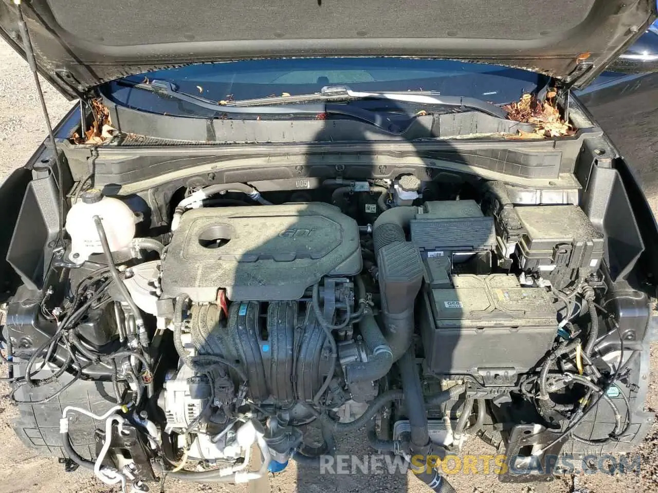 12 Photograph of a damaged car KNDP63AC1N7987438 KIA SPORTAGE 2022