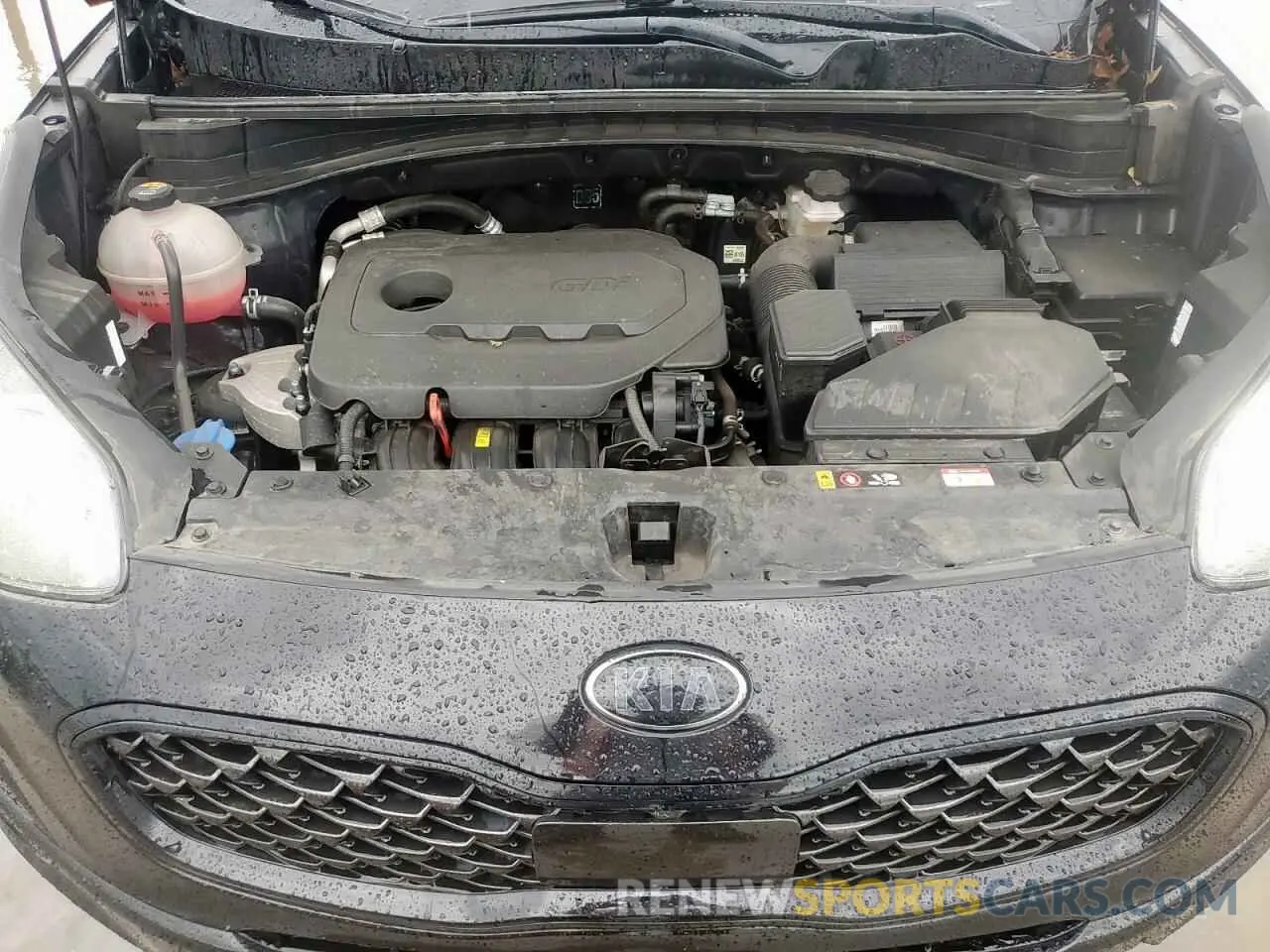 12 Photograph of a damaged car KNDP6CAC2N7021759 KIA SPORTAGE 2022