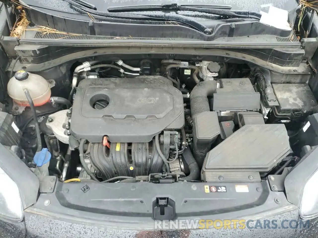 12 Photograph of a damaged car KNDPM3AC2N7026823 KIA SPORTAGE 2022