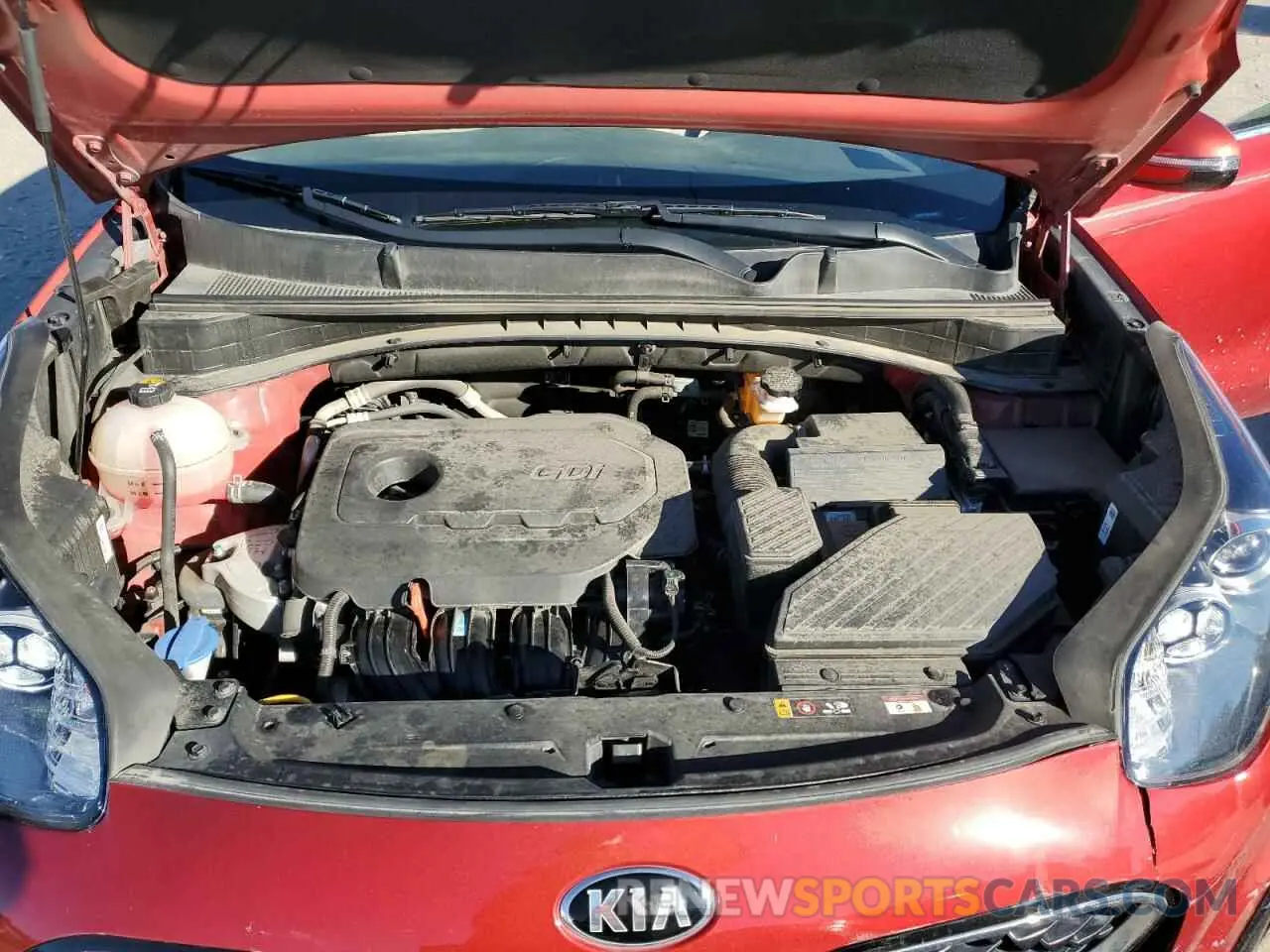 12 Photograph of a damaged car KNDPM3AC3N7974986 KIA SPORTAGE 2022