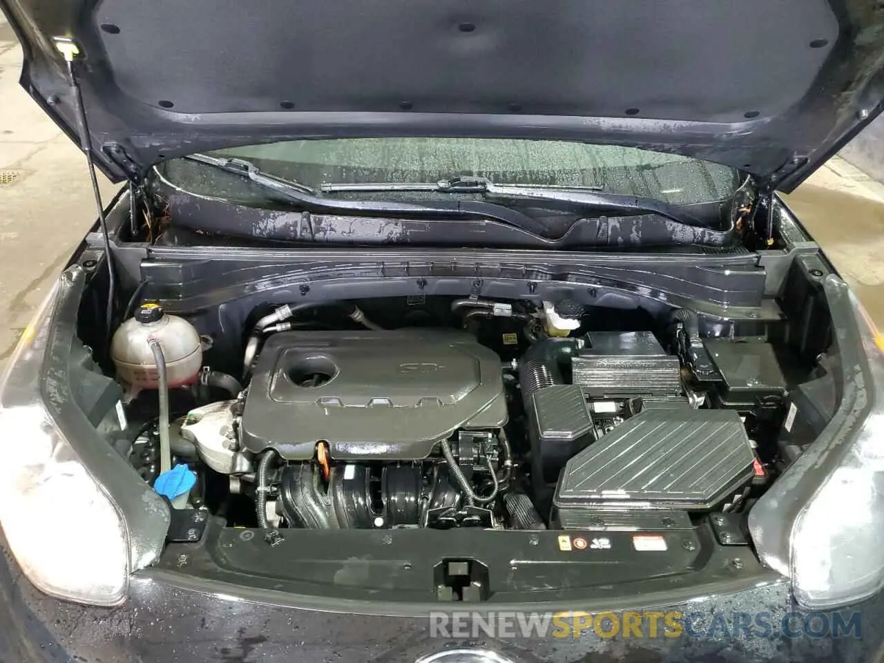 12 Photograph of a damaged car KNDPM3AC3N7977435 KIA SPORTAGE 2022