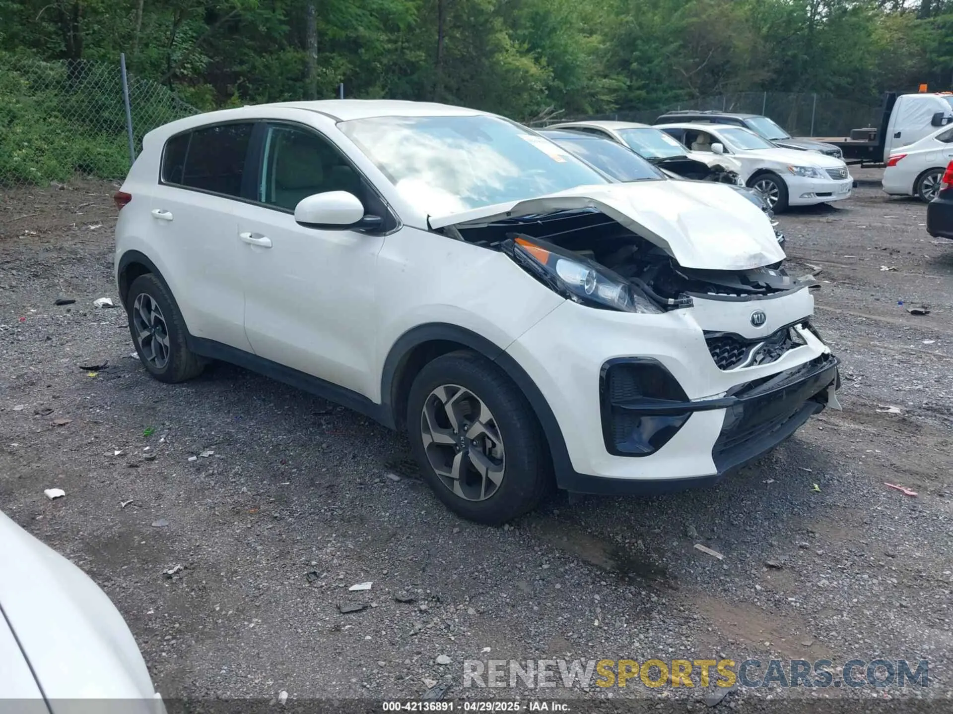 1 Photograph of a damaged car KNDPM3AC5N7026900 KIA SPORTAGE 2022