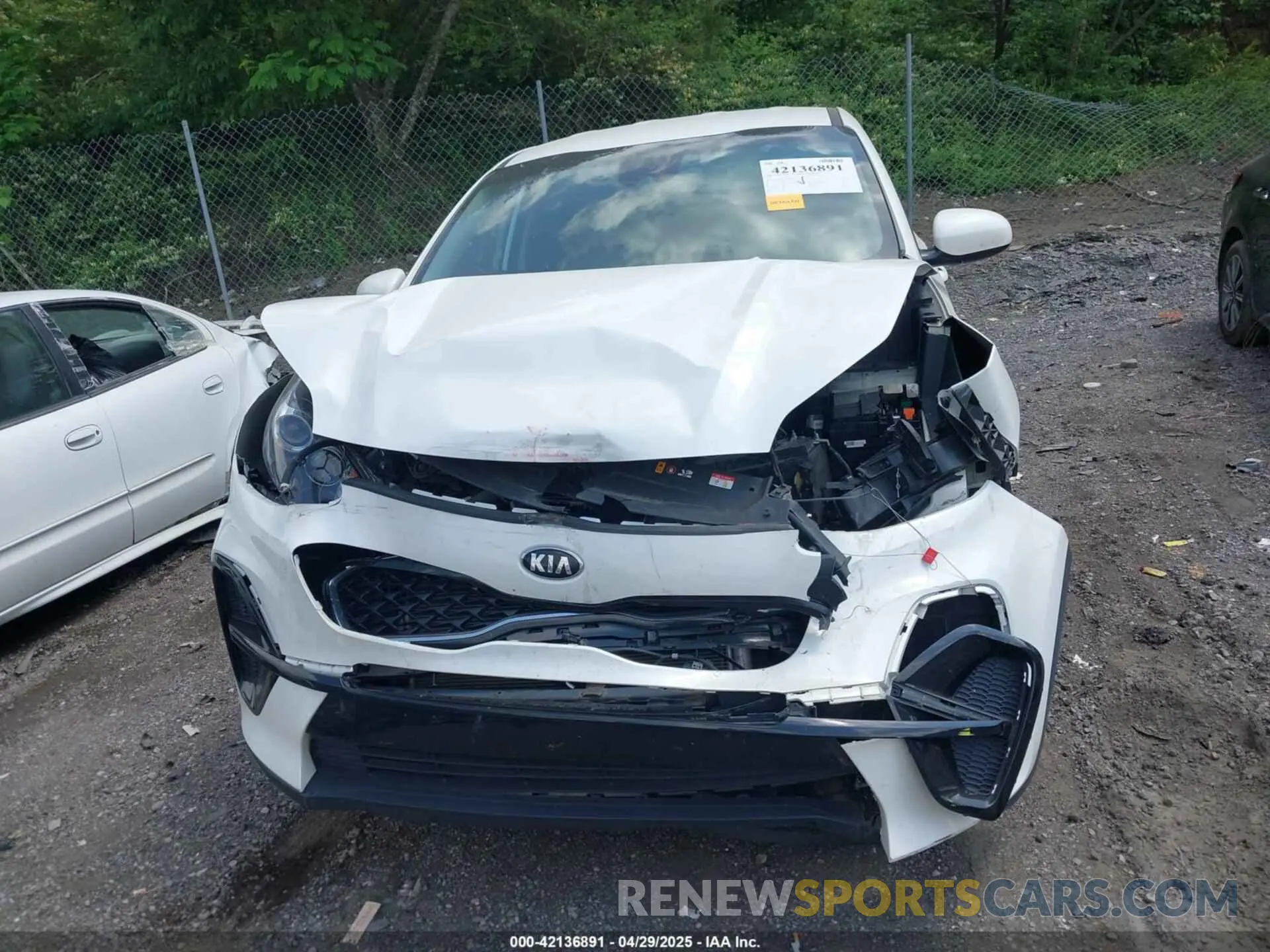 12 Photograph of a damaged car KNDPM3AC5N7026900 KIA SPORTAGE 2022