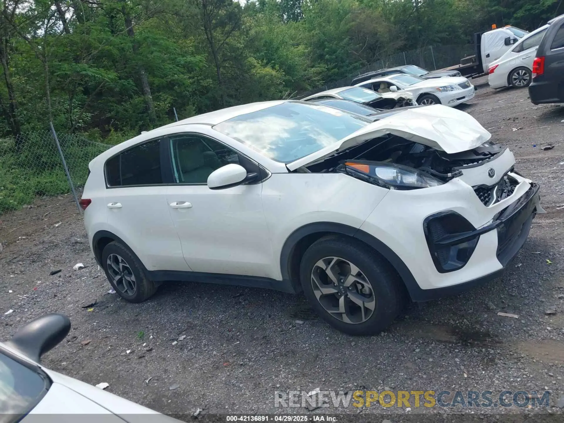 13 Photograph of a damaged car KNDPM3AC5N7026900 KIA SPORTAGE 2022