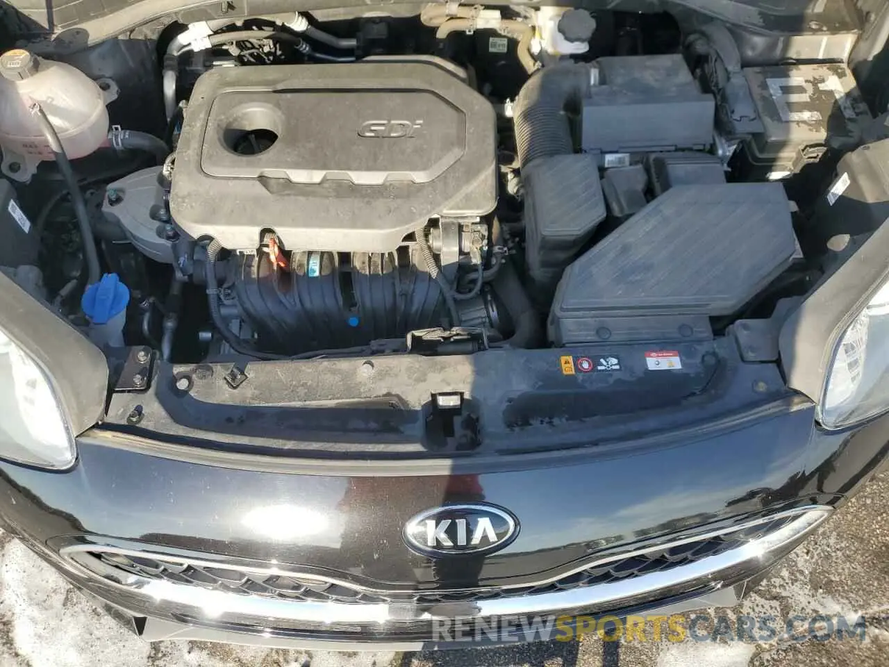 12 Photograph of a damaged car KNDPM3AC7N7007944 KIA SPORTAGE 2022