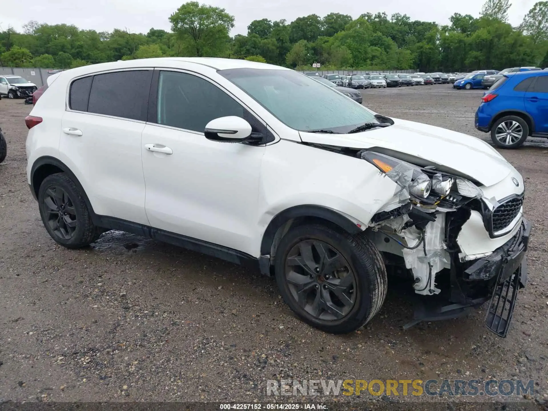 1 Photograph of a damaged car KNDPM3AC7N7013520 KIA SPORTAGE 2022