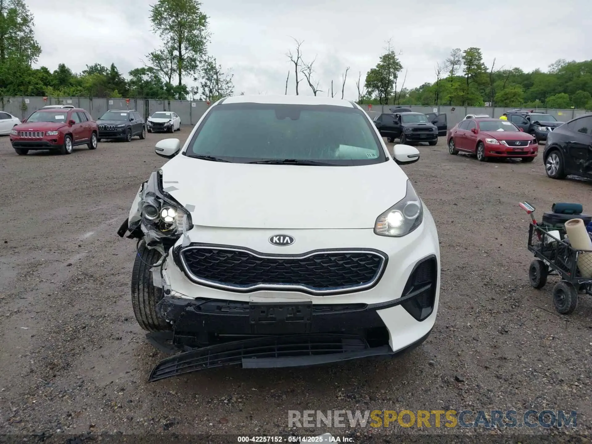 12 Photograph of a damaged car KNDPM3AC7N7013520 KIA SPORTAGE 2022